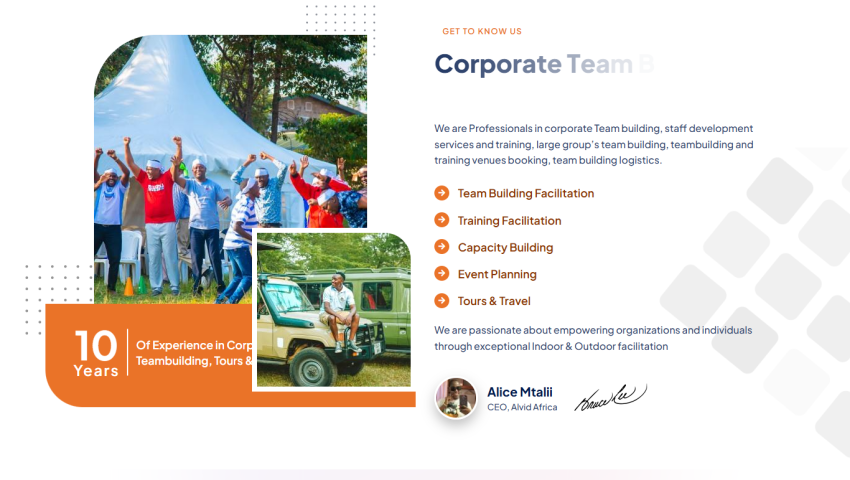 Alvid Africa